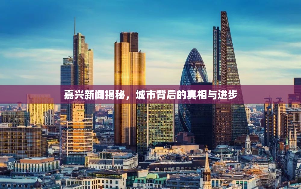 嘉興新聞揭秘，城市背后的真相與進步