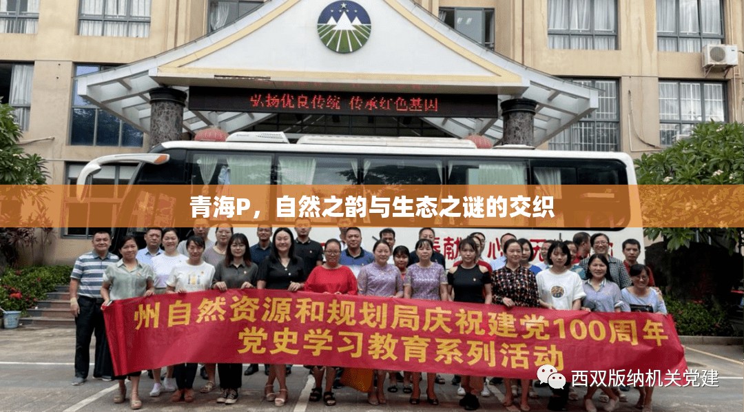 青海P，自然之韻與生態(tài)之謎的交織