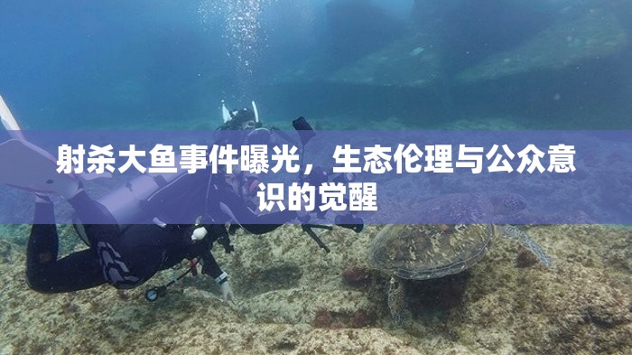 射殺大魚事件曝光，生態(tài)倫理與公眾意識的覺醒