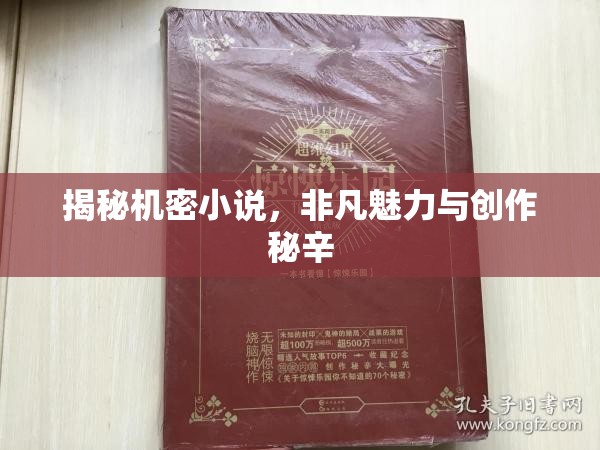 揭秘機密小說，非凡魅力與創(chuàng)作秘辛