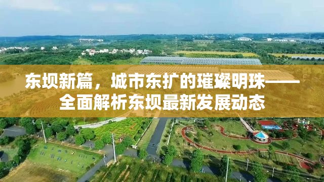 東壩新篇，城市東擴(kuò)的璀璨明珠——全面解析東壩最新發(fā)展動(dòng)態(tài)