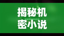 揭秘機密小說，非凡魅力與創(chuàng)作秘辛