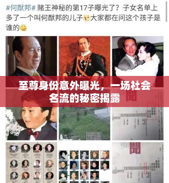 至尊身份意外曝光，一場(chǎng)社會(huì)名流的秘密揭露