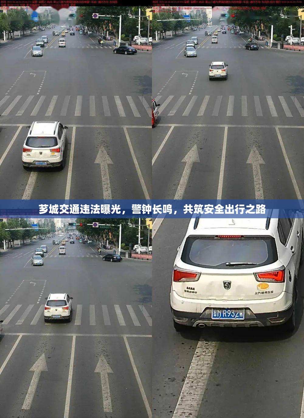 薌城交通違法曝光，警鐘長鳴，共筑安全出行之路