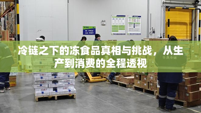 冷鏈之下的凍食品真相與挑戰(zhàn)，從生產(chǎn)到消費(fèi)的全程透視