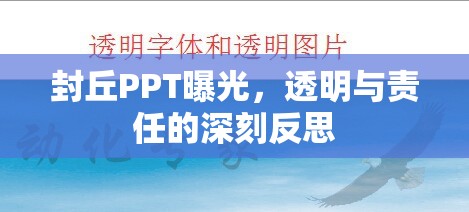 封丘PPT曝光，透明與責(zé)任的深刻反思
