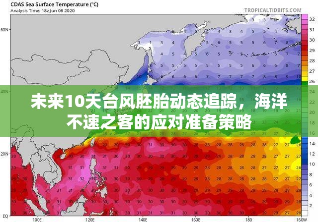 未來10天臺風(fēng)胚胎動態(tài)追蹤，海洋不速之客的應(yīng)對準備策略