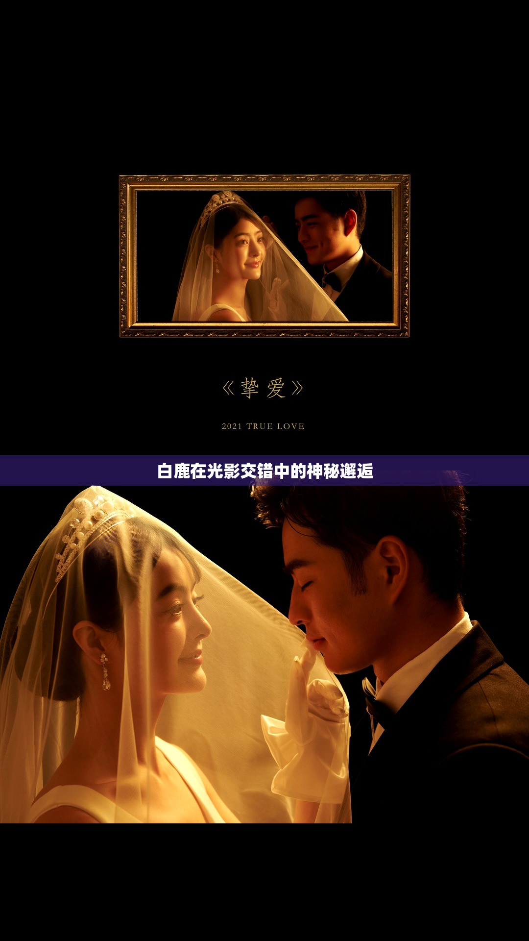 白鹿在光影交錯(cuò)中的神秘邂逅
