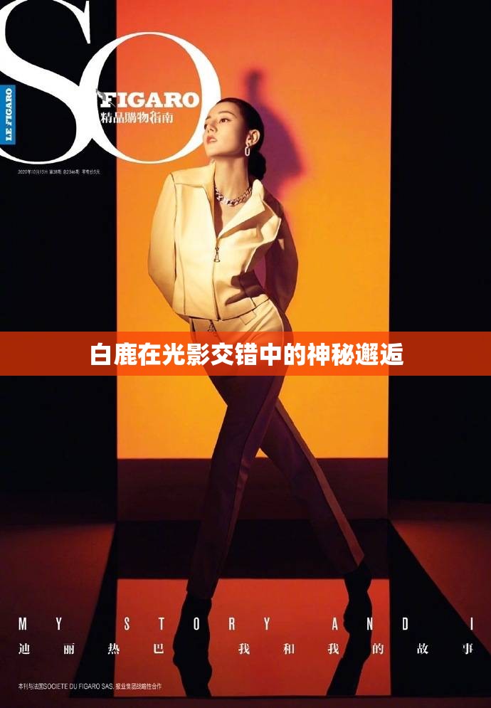白鹿在光影交錯(cuò)中的神秘邂逅