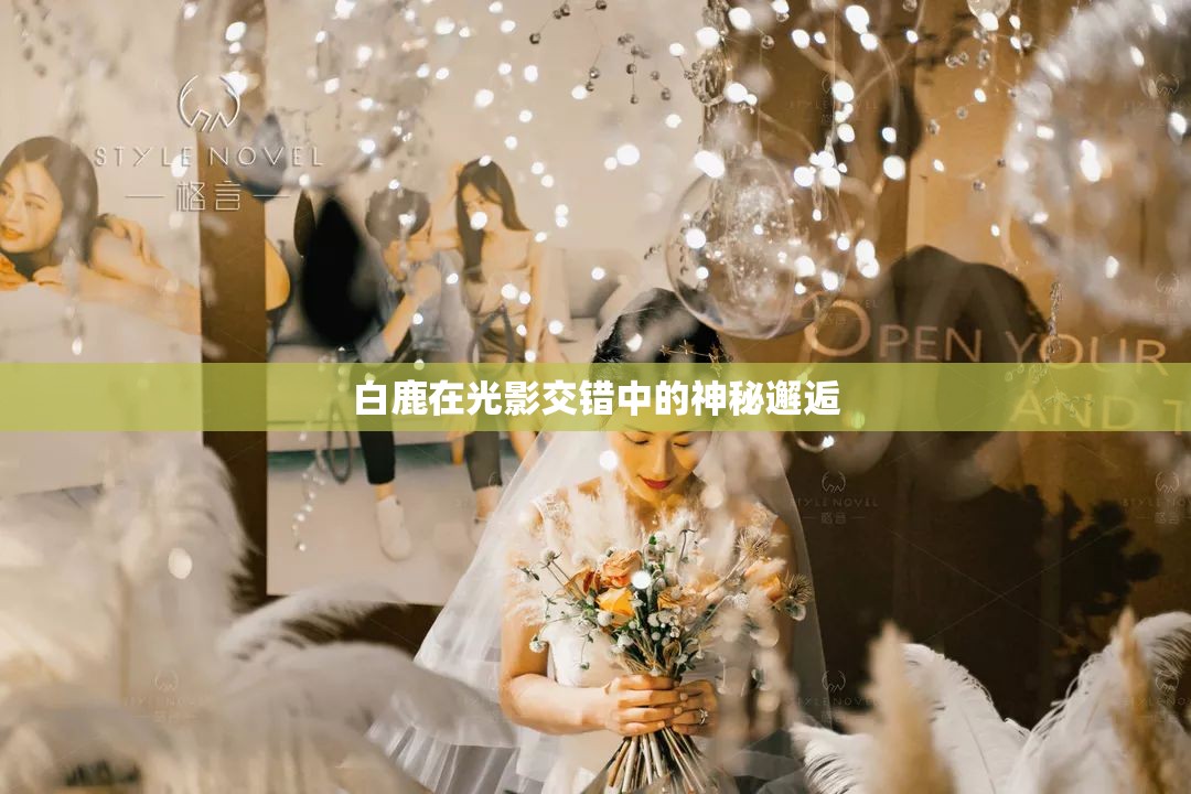 白鹿在光影交錯(cuò)中的神秘邂逅