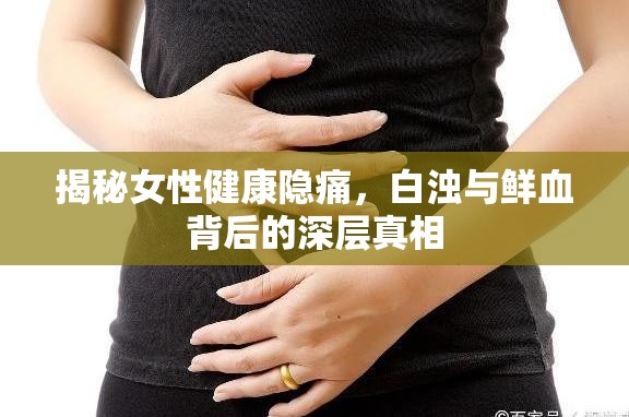 揭秘女性健康隱痛，白濁與鮮血背后的深層真相