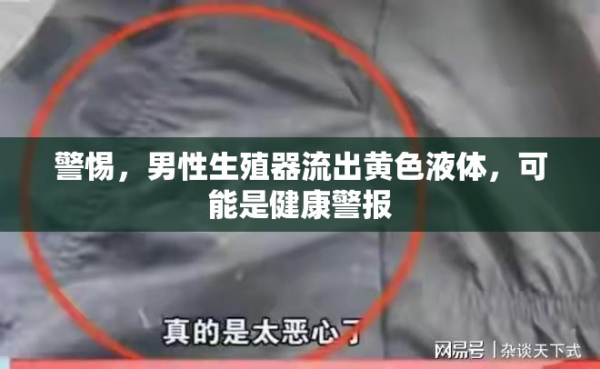 警惕，男性生殖器流出黃色液體，可能是健康警報(bào)