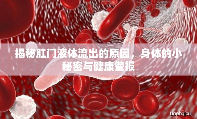 揭秘肛門液體流出的原因，身體的小秘密與健康警報(bào)