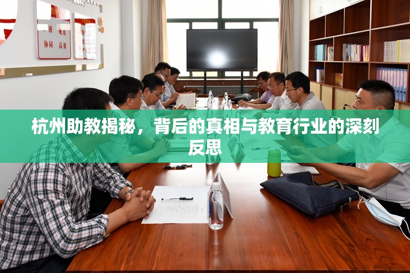 杭州助教揭秘，背后的真相與教育行業(yè)的深刻反思