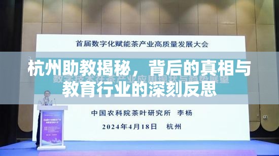 杭州助教揭秘，背后的真相與教育行業(yè)的深刻反思
