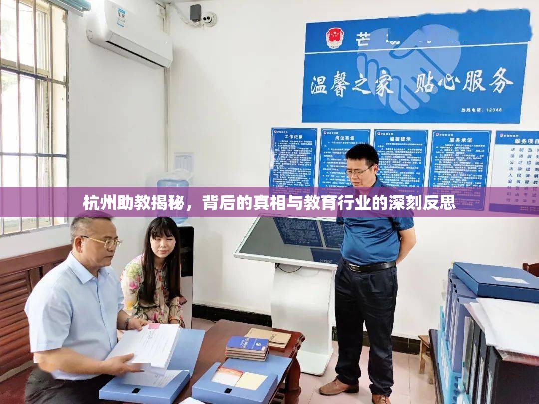 杭州助教揭秘，背后的真相與教育行業(yè)的深刻反思