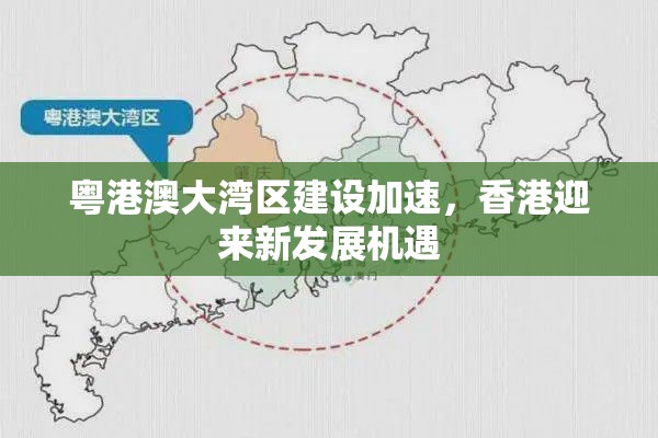 粵港澳大灣區(qū)建設加速，香港迎來新發(fā)展機遇
