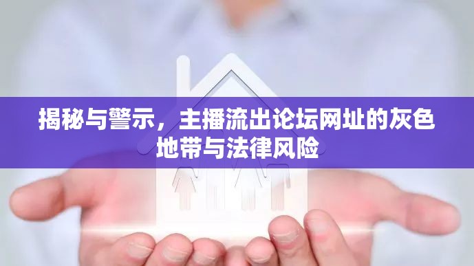 揭秘與警示，主播流出論壇網(wǎng)址的灰色地帶與法律風(fēng)險(xiǎn)