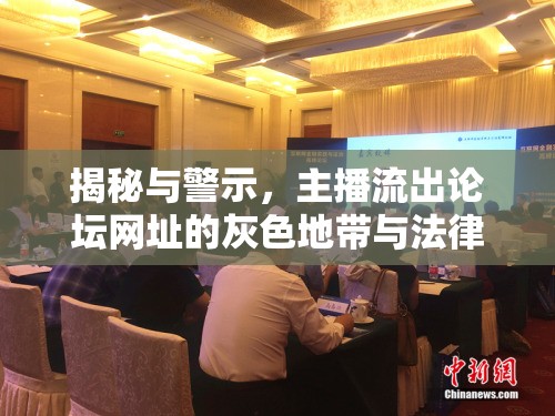 揭秘與警示，主播流出論壇網(wǎng)址的灰色地帶與法律風(fēng)險(xiǎn)