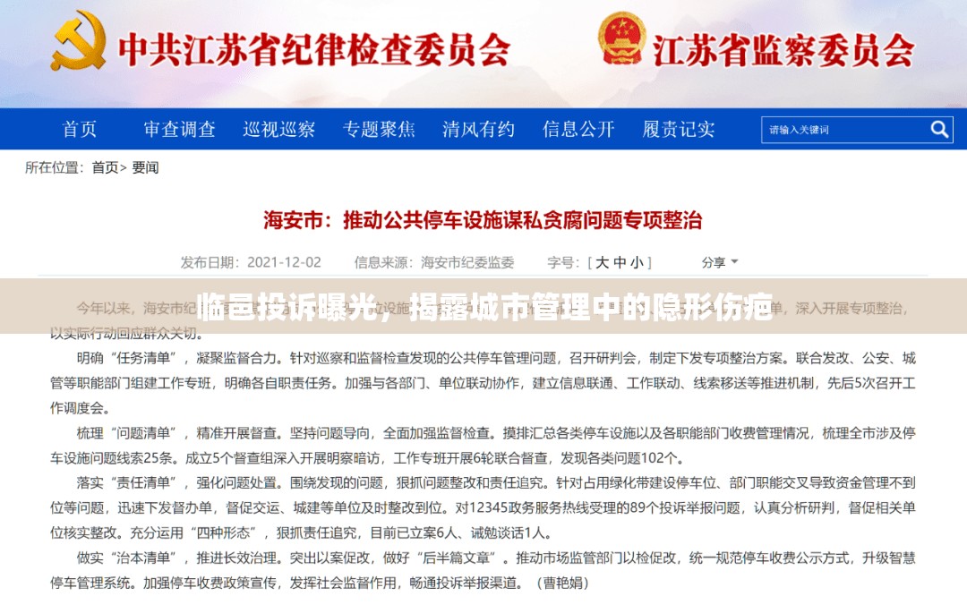 臨邑投訴曝光，揭露城市管理中的隱形傷疤