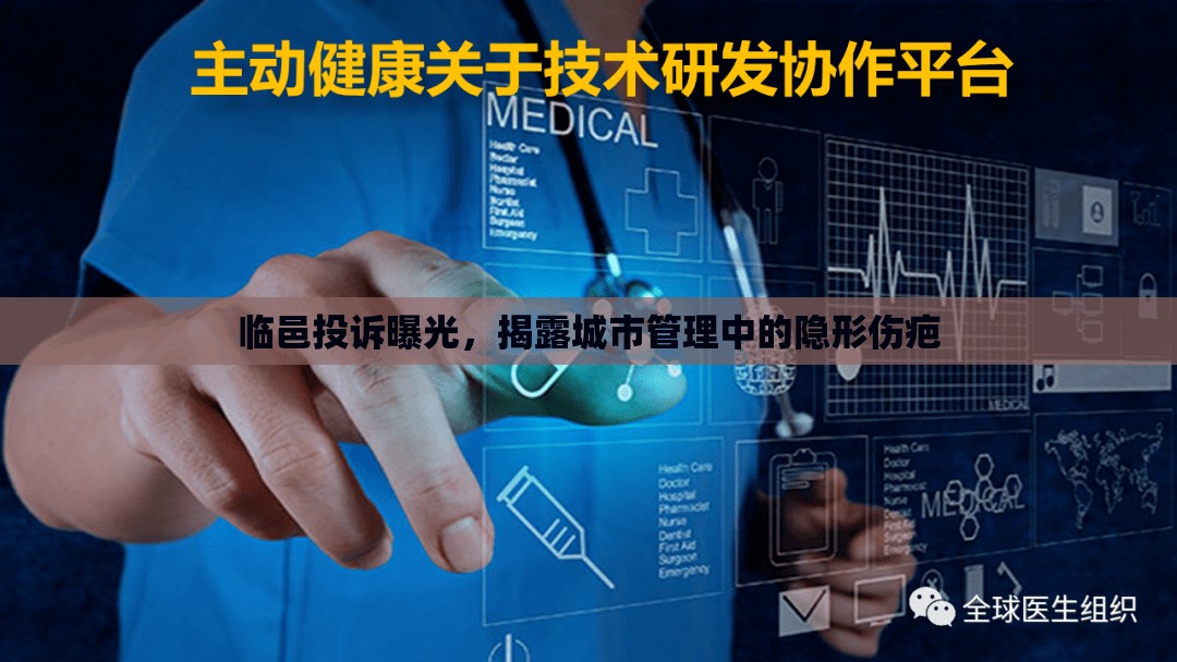 臨邑投訴曝光，揭露城市管理中的隱形傷疤