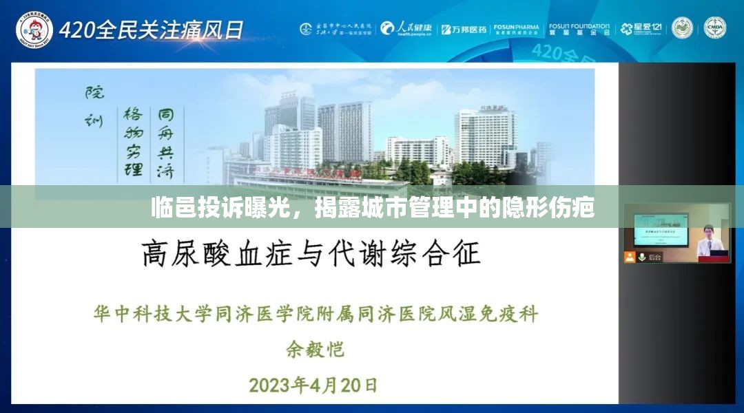 臨邑投訴曝光，揭露城市管理中的隱形傷疤