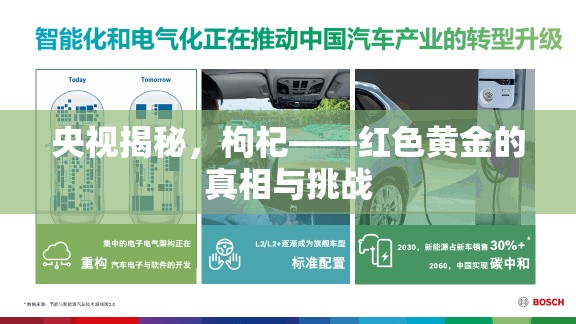 央視揭秘，枸杞——紅色黃金的真相與挑戰(zhàn)