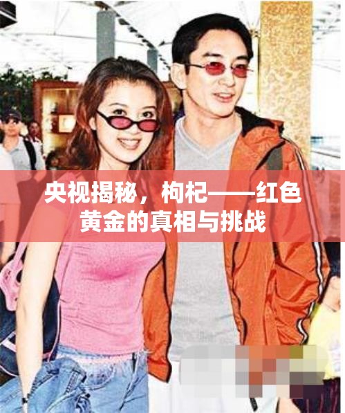 央視揭秘，枸杞——紅色黃金的真相與挑戰(zhàn)