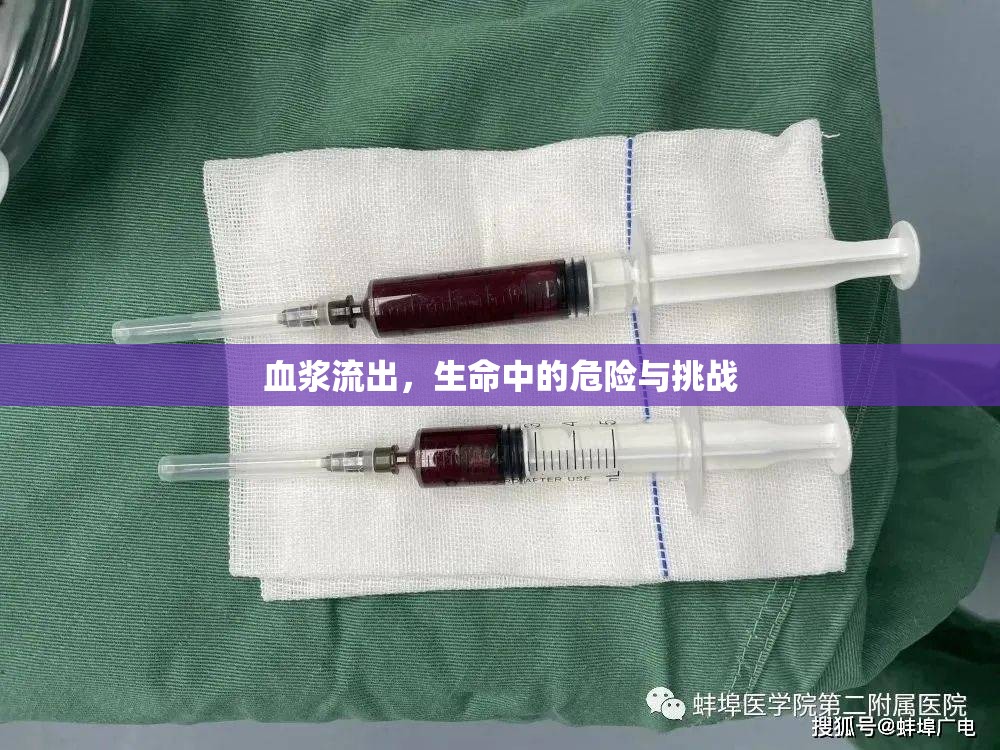 血漿流出，生命中的危險(xiǎn)與挑戰(zhàn)