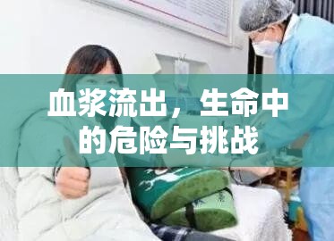 血漿流出，生命中的危險(xiǎn)與挑戰(zhàn)