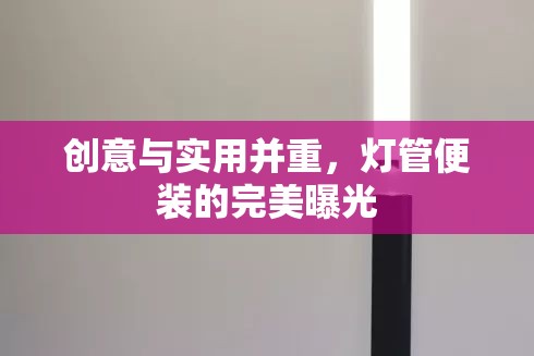 創(chuàng)意與實(shí)用并重，燈管便裝的完美曝光