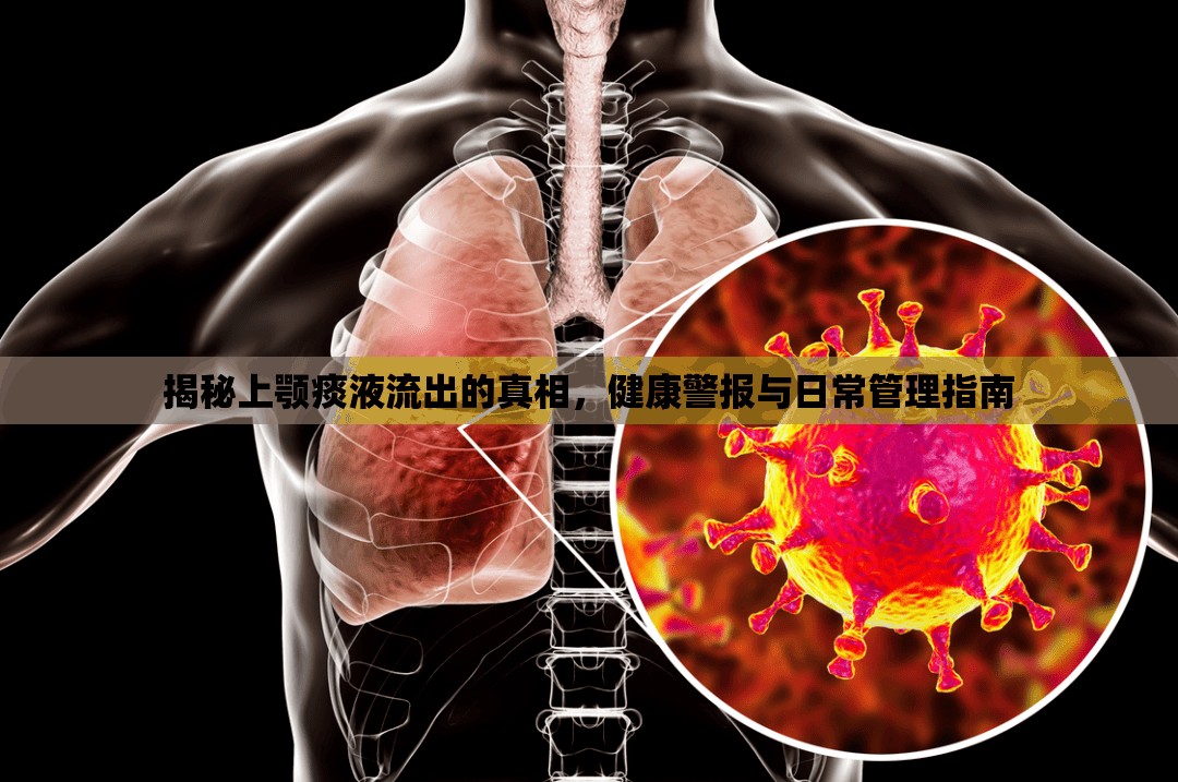 揭秘上顎痰液流出的真相，健康警報(bào)與日常管理指南