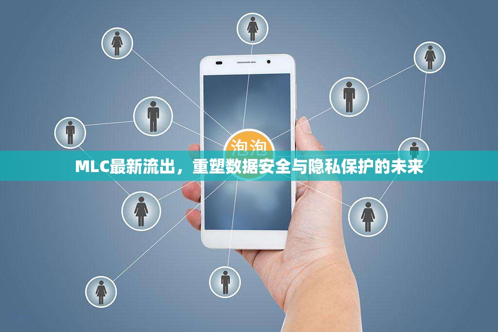 MLC最新流出，重塑數(shù)據(jù)安全與隱私保護(hù)的未來(lái)