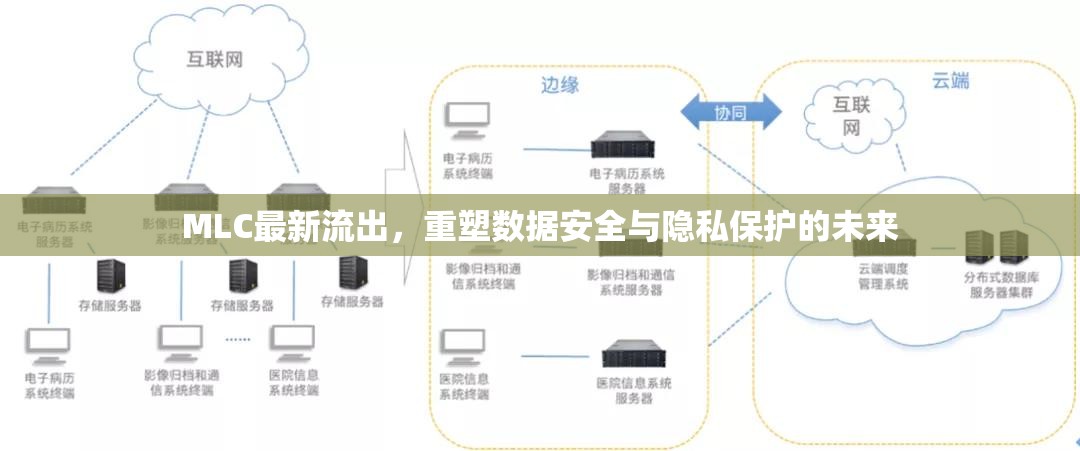 MLC最新流出，重塑數(shù)據(jù)安全與隱私保護(hù)的未來(lái)