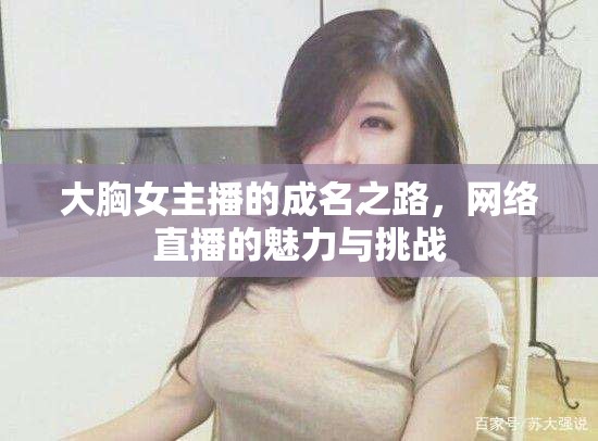 大胸女主播的成名之路，網(wǎng)絡(luò)直播的魅力與挑戰(zhàn)