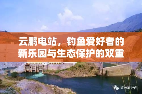 云鵬電站，釣魚(yú)愛(ài)好者的新樂(lè)園與生態(tài)保護(hù)的雙重挑戰(zhàn)
