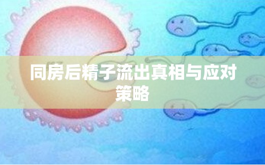 同房后精子流出真相與應(yīng)對(duì)策略