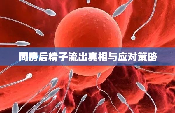 同房后精子流出真相與應(yīng)對(duì)策略
