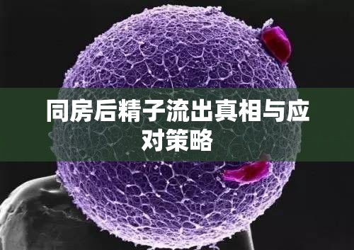 同房后精子流出真相與應(yīng)對(duì)策略