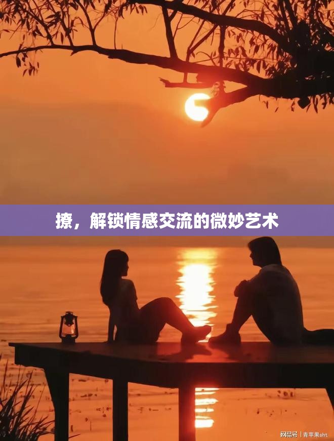 撩，解鎖情感交流的微妙藝術(shù)