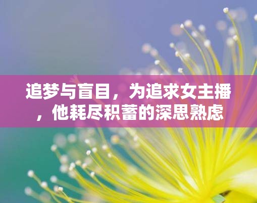 追夢(mèng)與盲目，為追求女主播，他耗盡積蓄的深思熟慮