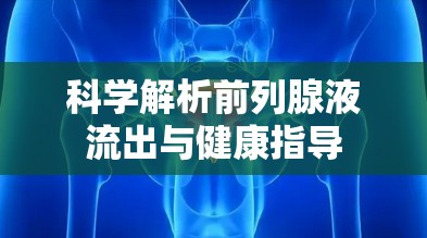科學(xué)解析前列腺液流出與健康指導(dǎo)