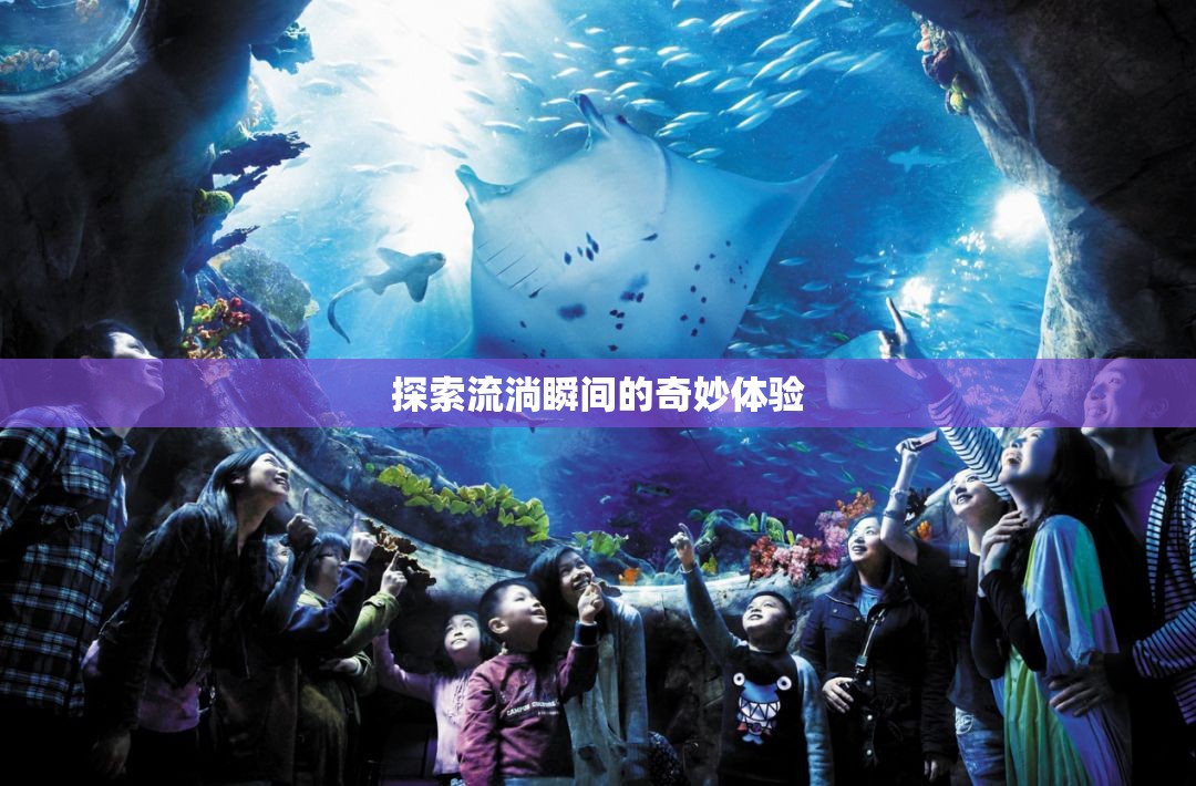 探索流淌瞬間的奇妙體驗
