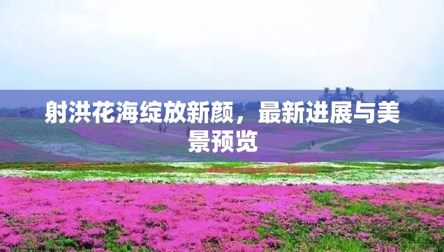 射洪花海綻放新顏，最新進展與美景預覽