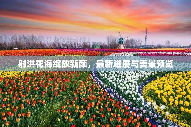 射洪花海綻放新顏，最新進展與美景預覽