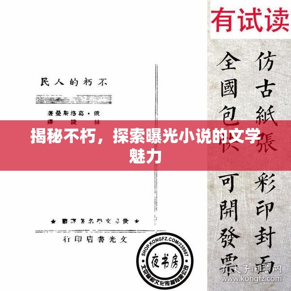 揭秘不朽，探索曝光小說的文學(xué)魅力
