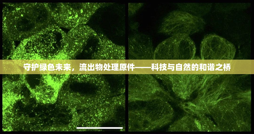 守護綠色未來，流出物處理原件——科技與自然的和諧之橋