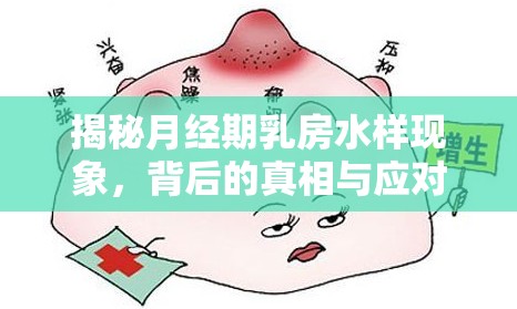 揭秘月經(jīng)期乳房水樣現(xiàn)象，背后的真相與應(yīng)對策略