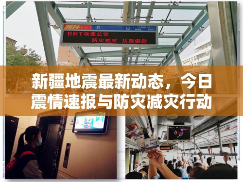新疆地震最新動態(tài)，今日震情速報與防災(zāi)減災(zāi)行動