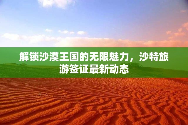 解鎖沙漠王國的無限魅力，沙特旅游簽證最新動態(tài)